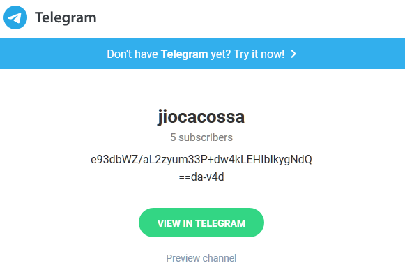 Raccoon Stealer example telegram user details