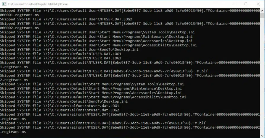 Terminal window stays open and logs during the encryption phase
