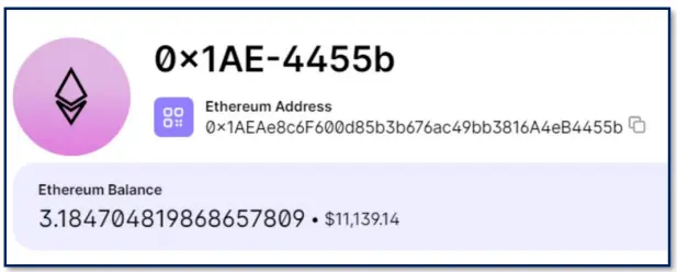 Figure 4: Linked Crypto Wallet Address With over 11,000$ in Funds