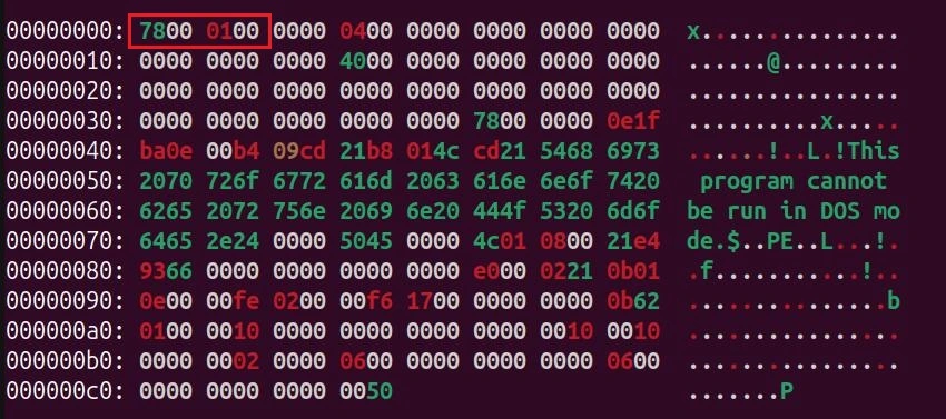 Figure 2 - Executable missing its MZ/PE header.