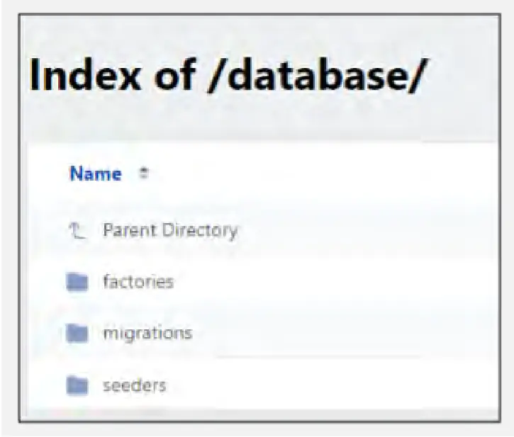 Figure 7: An example of a publicly accessible internal directory named “database.” 