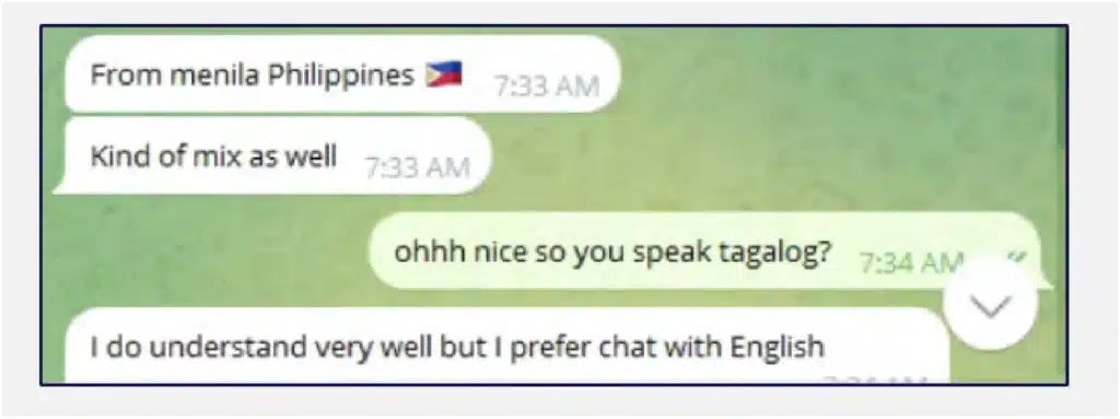 Figure 24: The threat actor claimed to be from the Philippines but avoided speaking Tagalog, making their origin doubtful.