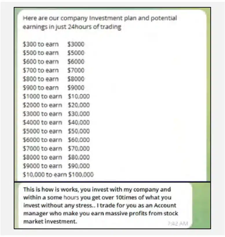 Figure 25: The threat actors promised victims a highly unrealistic return on investment.